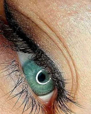 Precizní. Výrazné. Přirozené. Permanentní linky by Věra Koplová, Studio Kráska Orlová Salony Permanent Institut 🤍 Použitá...